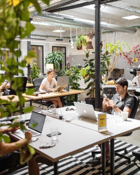 Espacio-Picture-16232