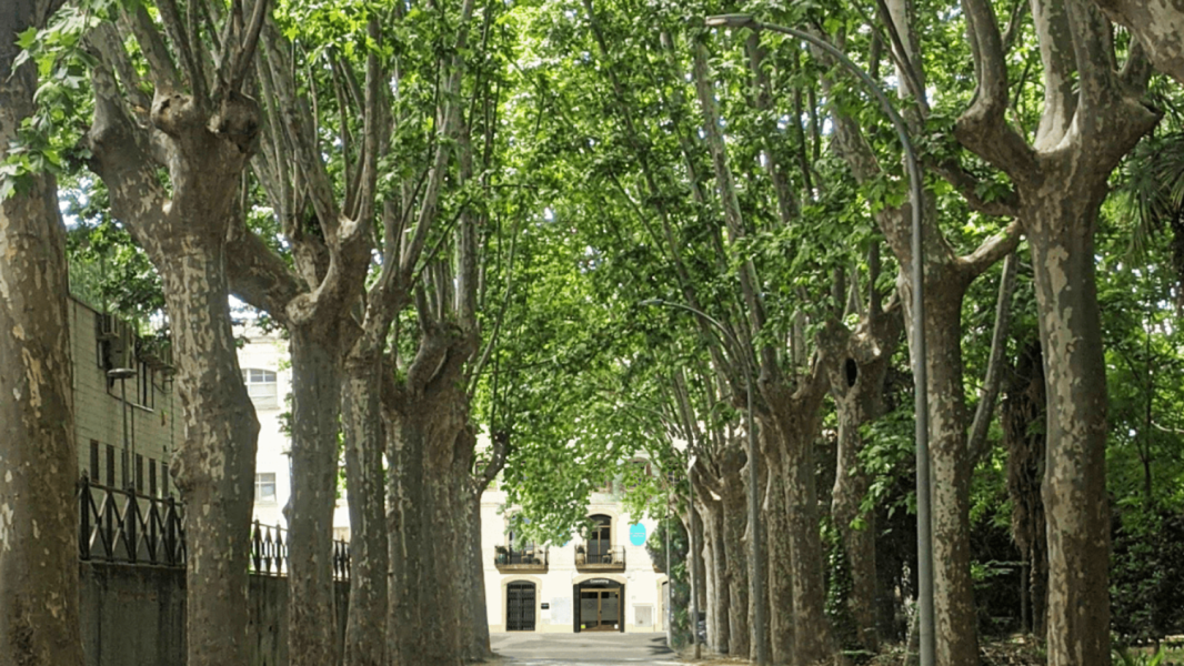 Espacio-Picture-15707