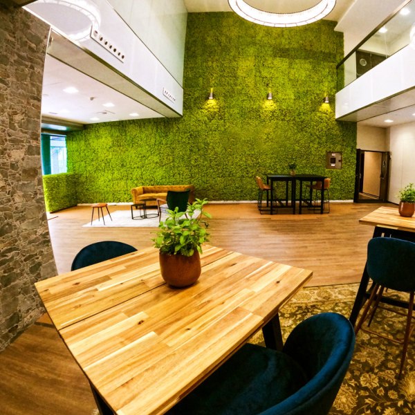 Espacio-Picture-16356