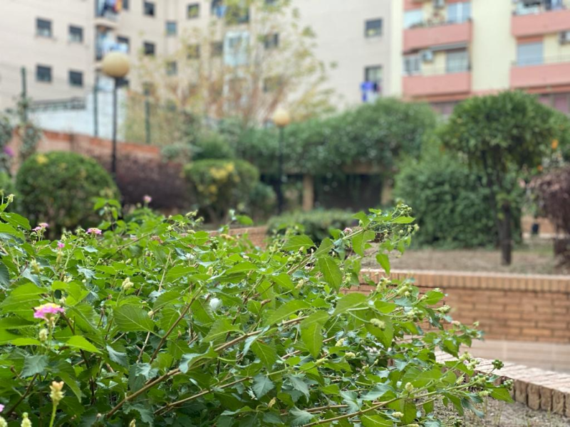 Espacio-Picture-15271