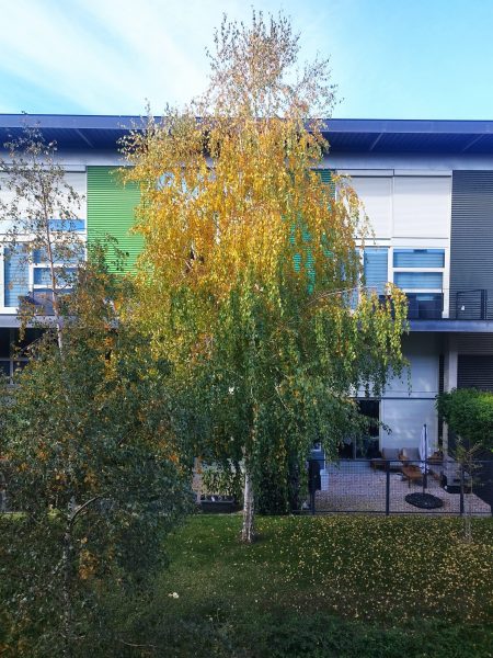 Espacio-Picture-16303